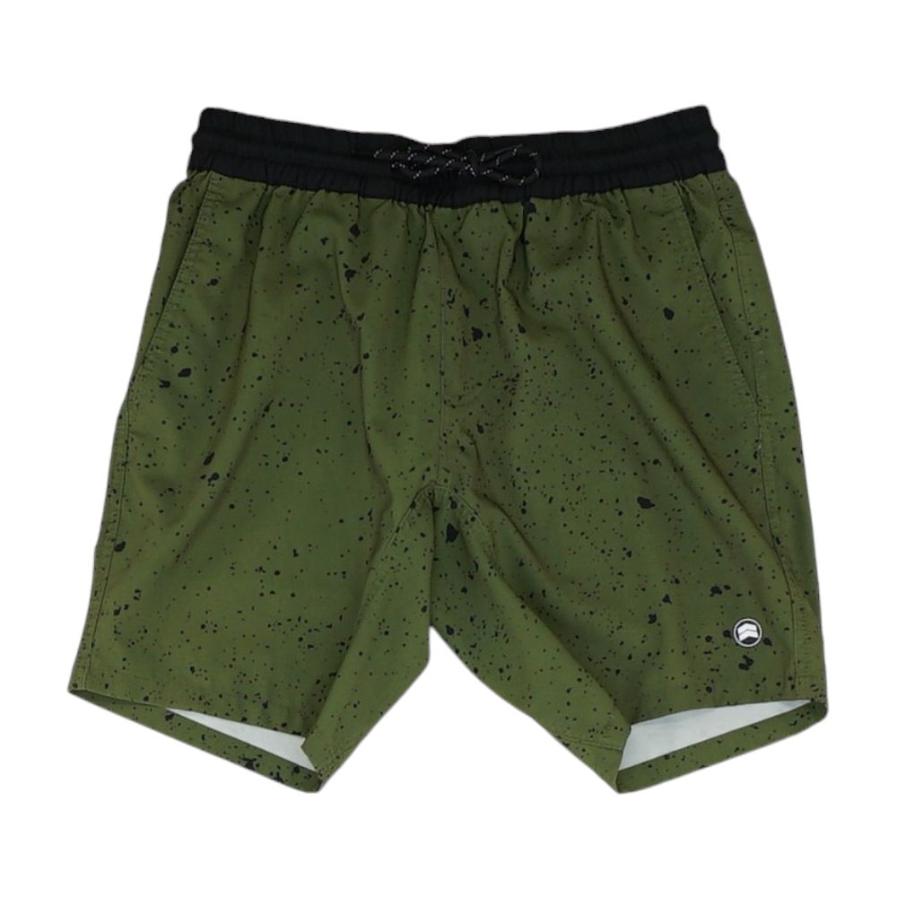 ZAYIN Green Graphic Swim Shorts
