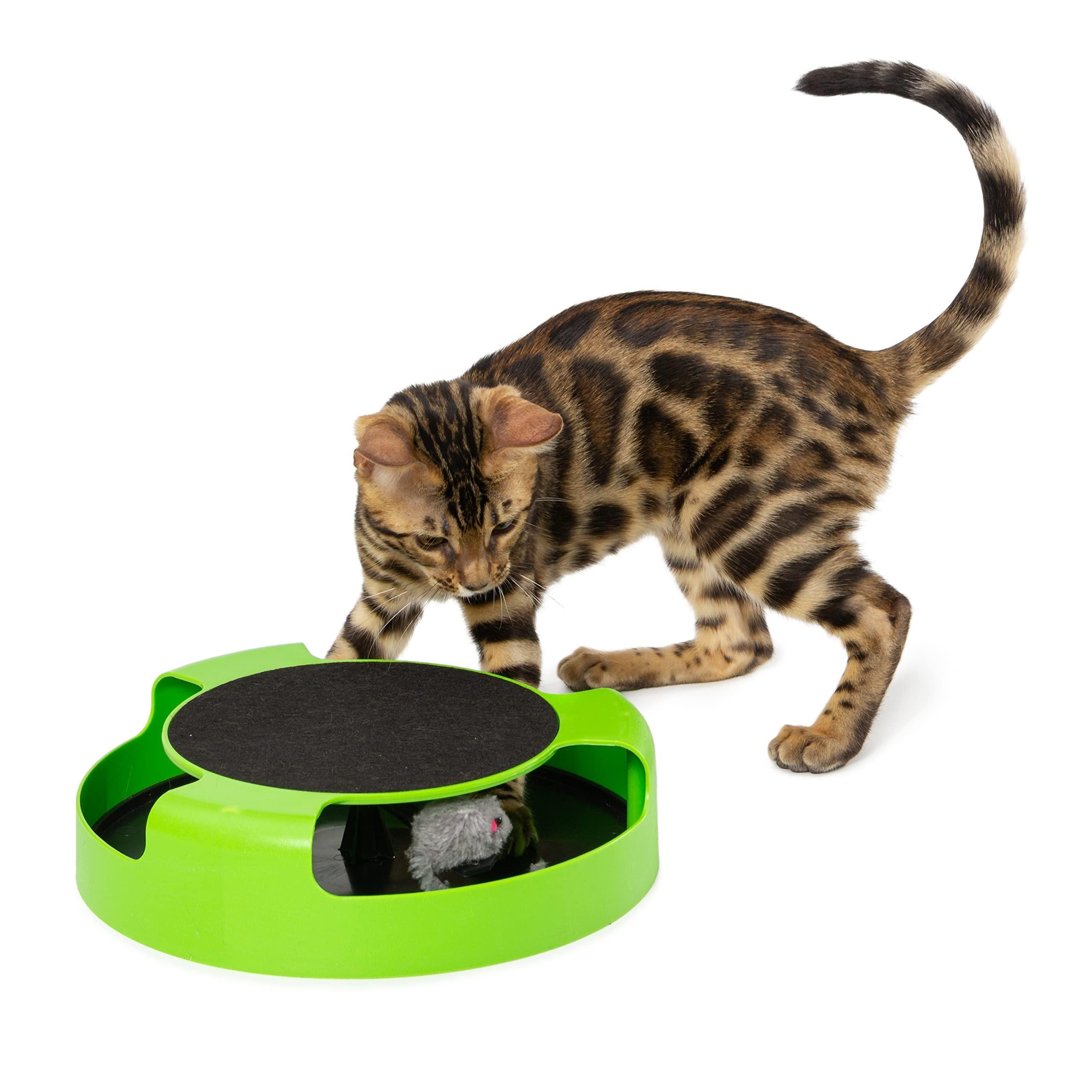 PERIWINKLE EROS PUREVACY Interactive Cat Toys for Indoor Cats. Green Spinning