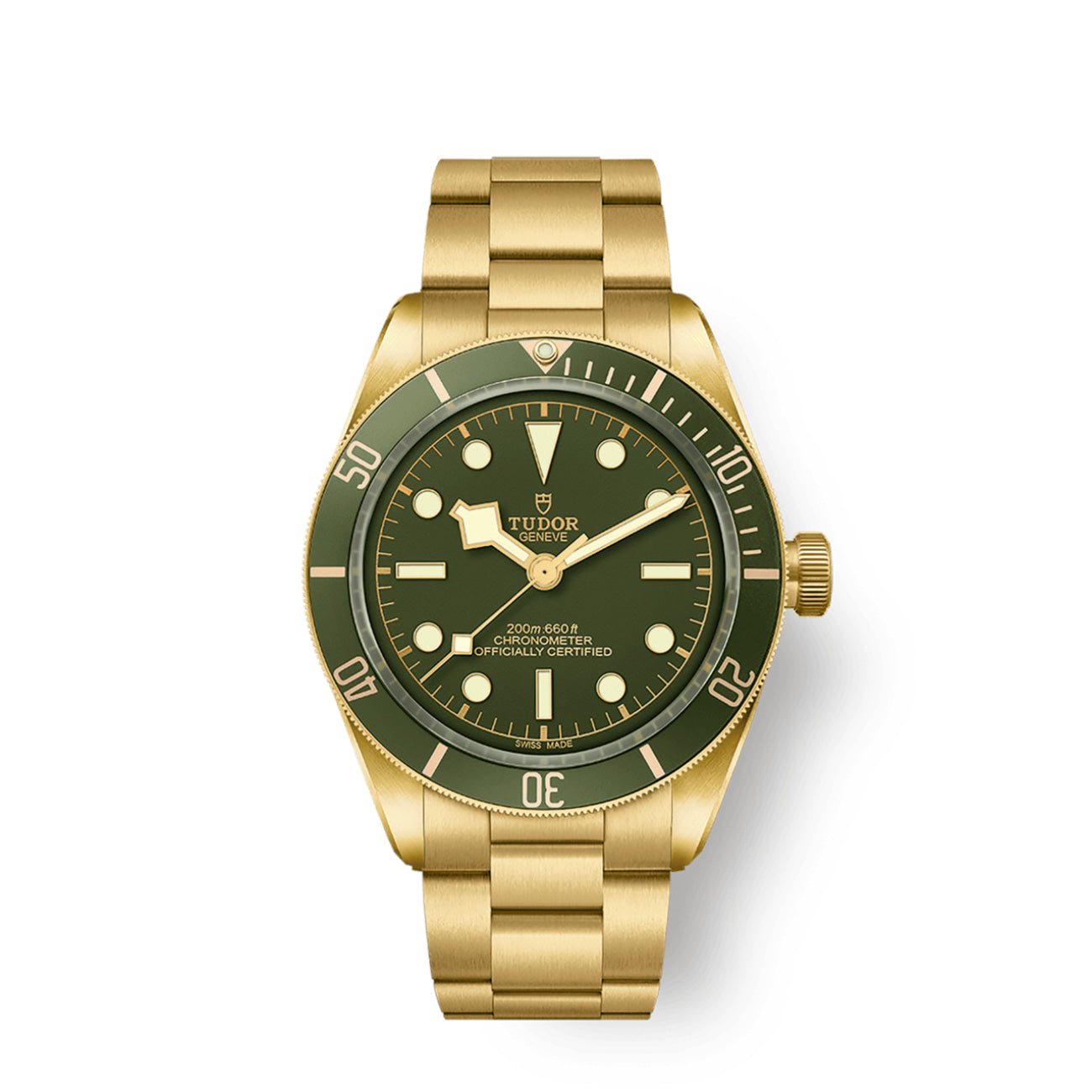 TUDOR BLACK BAY 58 18K M79018V 0006