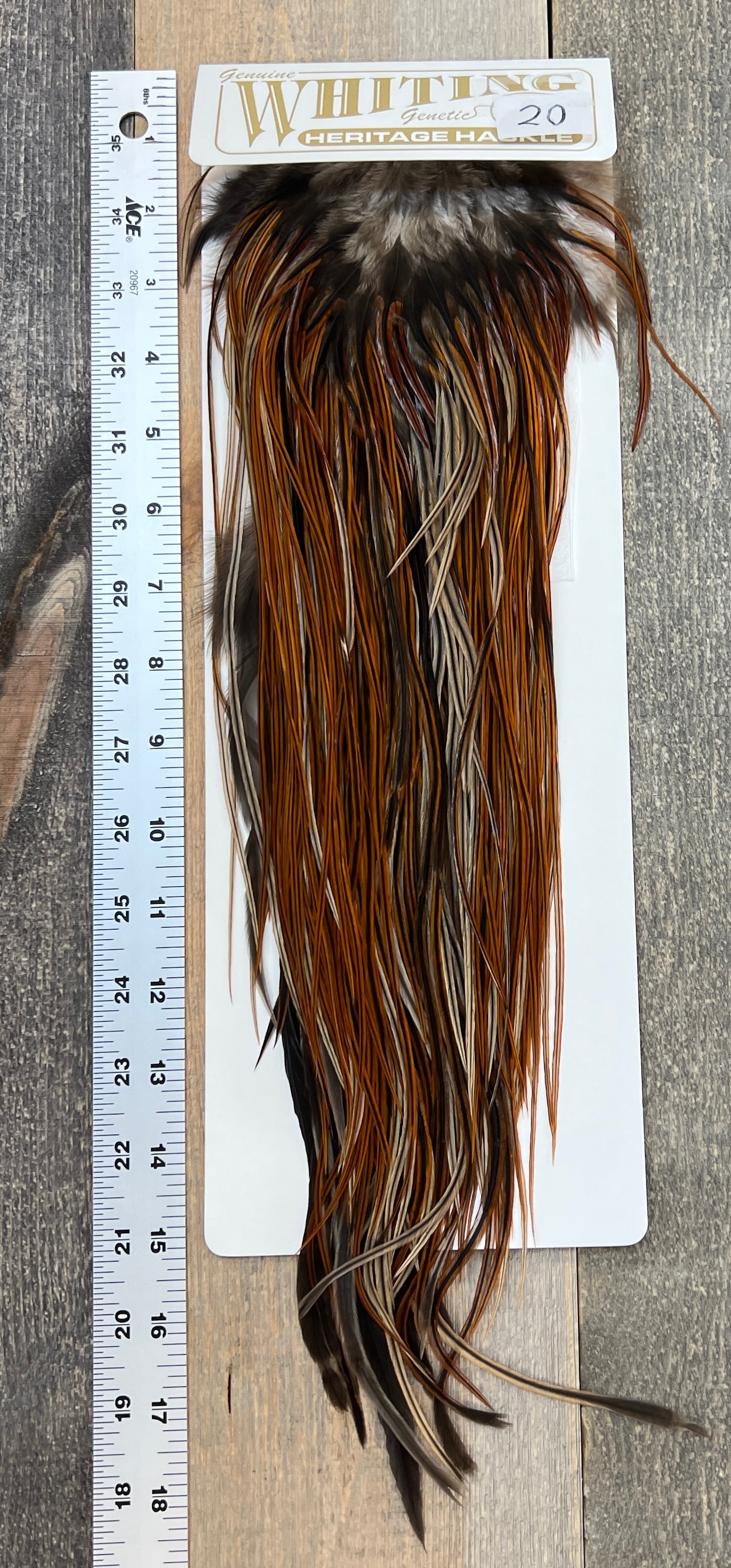 WHITING FARMS Whiting Heritage Saddle Grade #3   #20