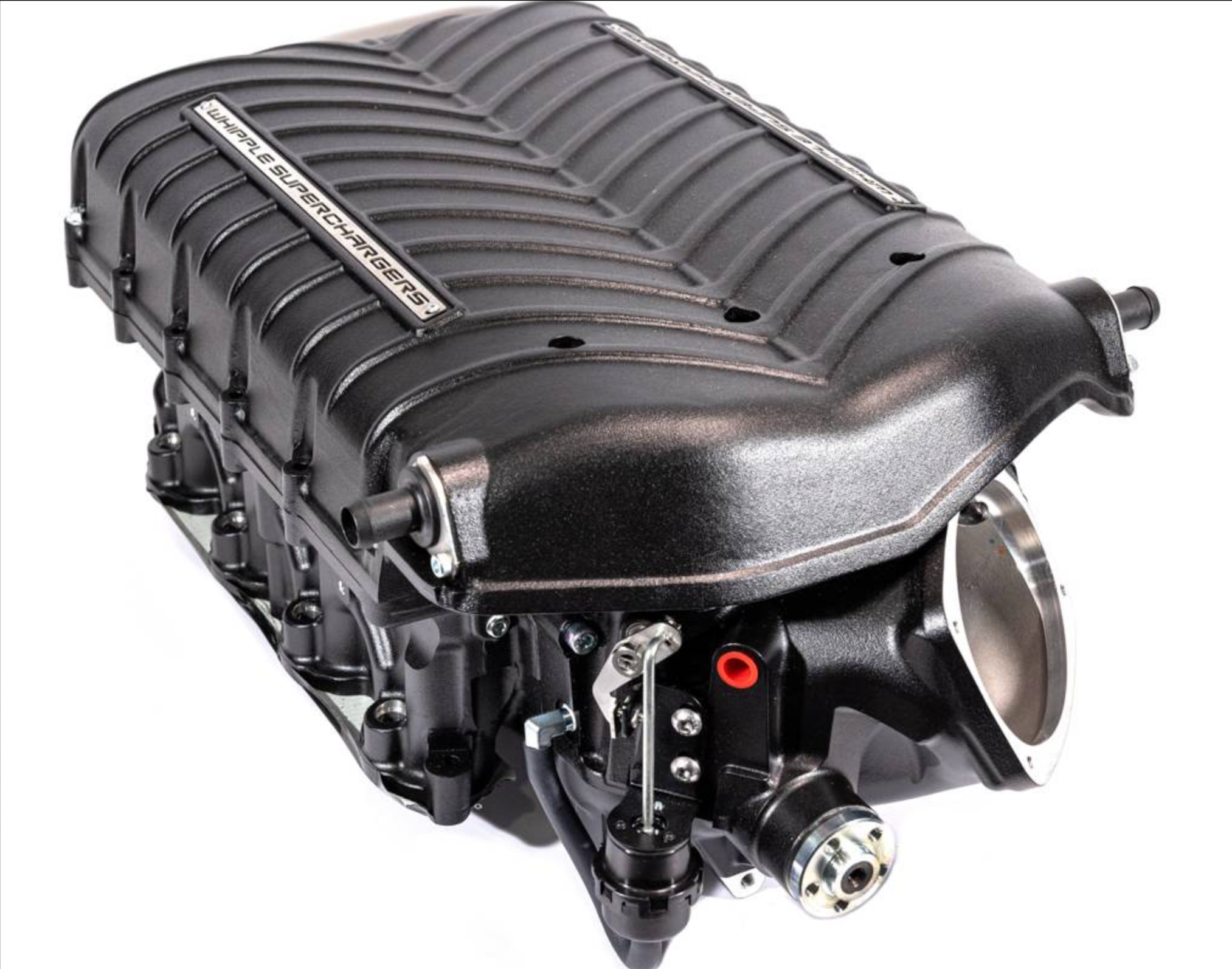 WHIPPLE Ford F150 5.0L Gen 6 Stage 1 SC Kit (With Powertrain Warranty) 2024 2025