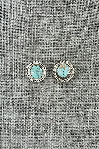 Turquoise & Sterling Silver Earrings   Sharon Clark