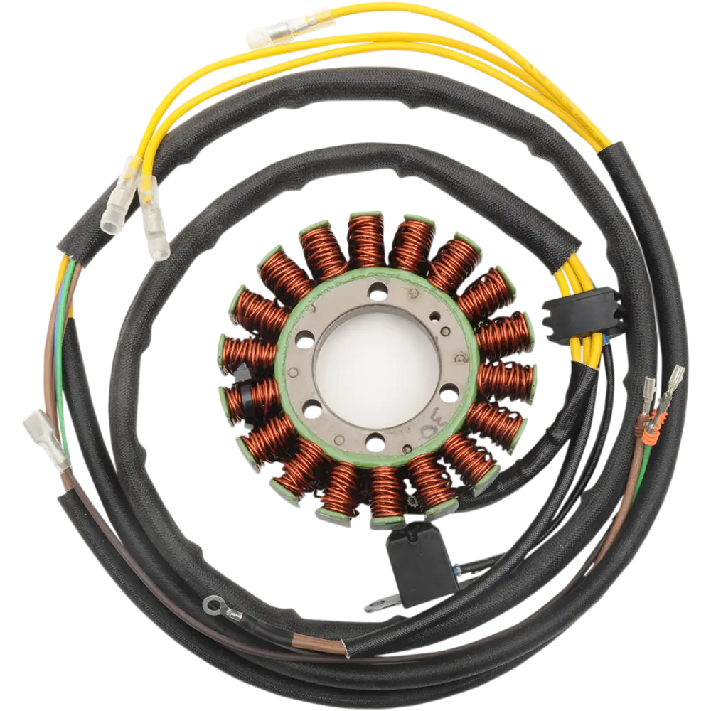 RICK'S MOTORSPORT ELECTRIC Stator 21 567