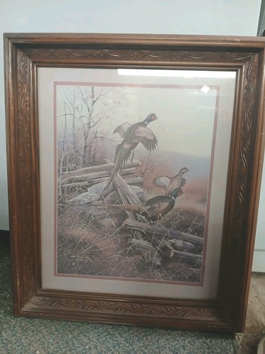 Framed Print Titled Ring Neck Pheasants By Gregory F Messier 1982