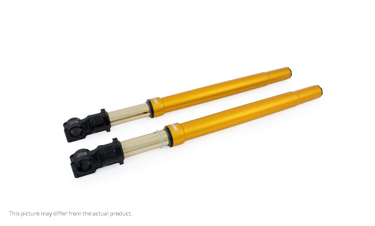 OHLINS Front fork universal 50/54/800 gold (SET)