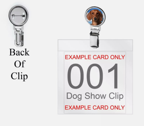 Dachshund Puppy codey21 DOME on Dog Show Ring Clip and Number Card Holder