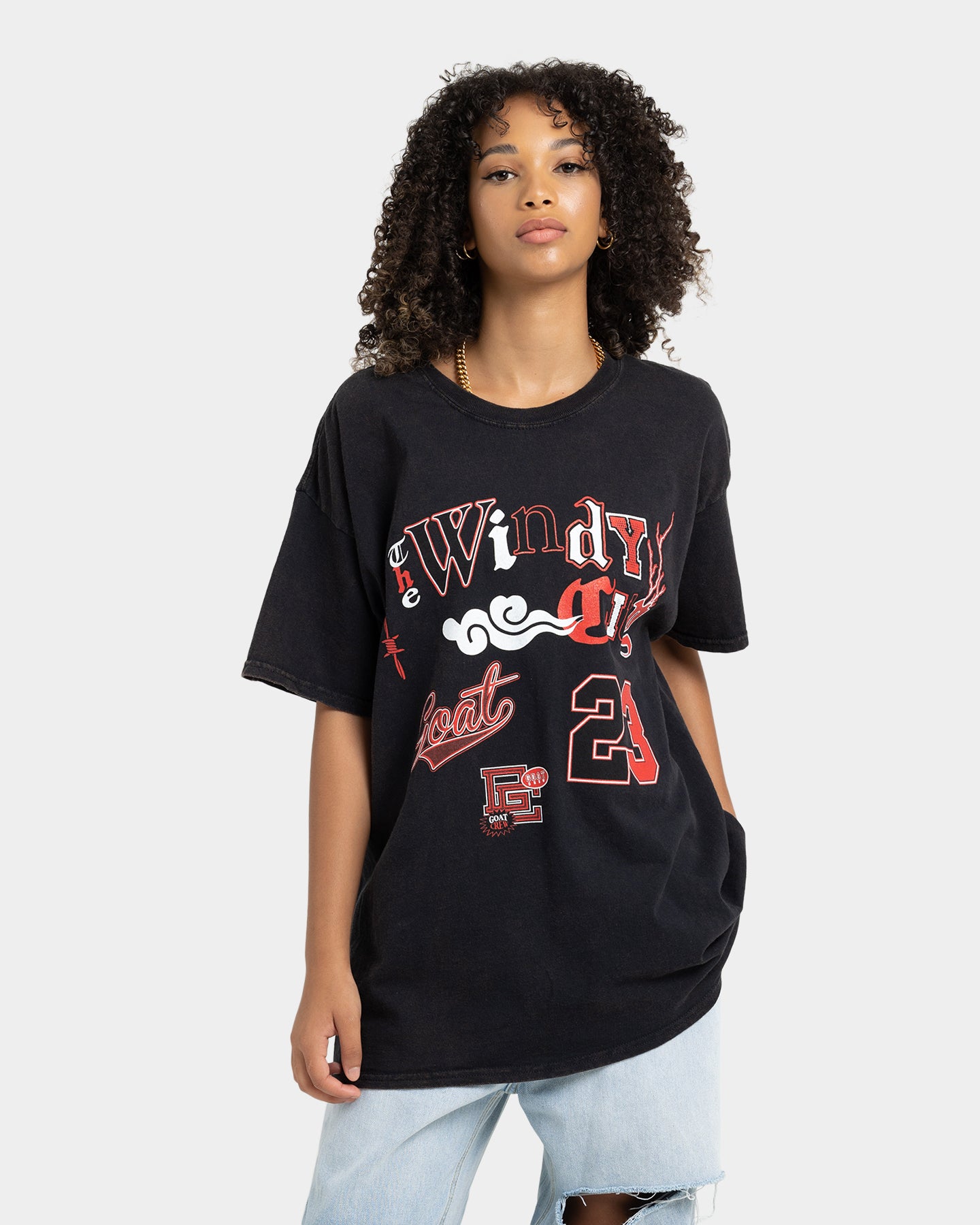 Goat Crew Windy City Vintage T Shirt Black Wash