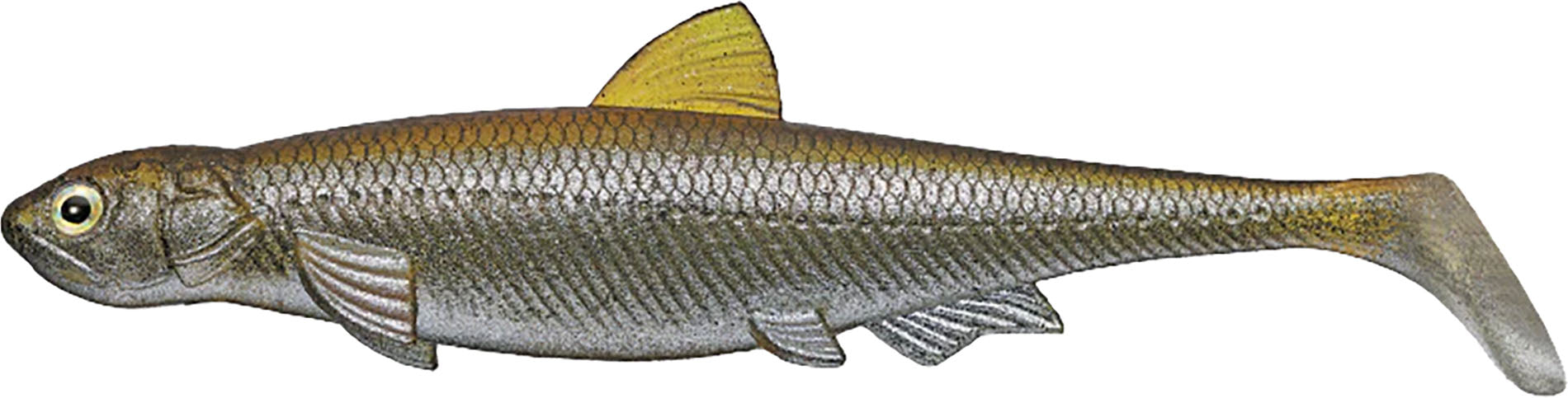 EVERGREEN INTERNATIONAL Evergreen Last Ace 140 Paddle Tail Swimbait   5.5 Inches