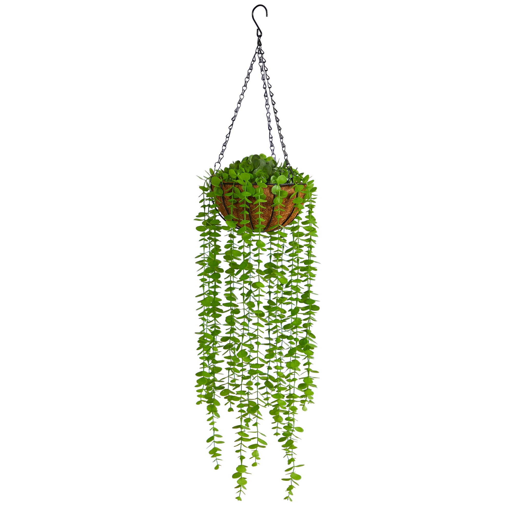 2736 3' Eucalyptus Artificial Plant in Hanging Basket
