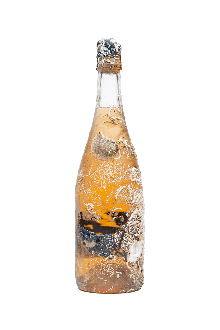 THE SEA WINE CLUB CV 02 CAVA ROSÉ