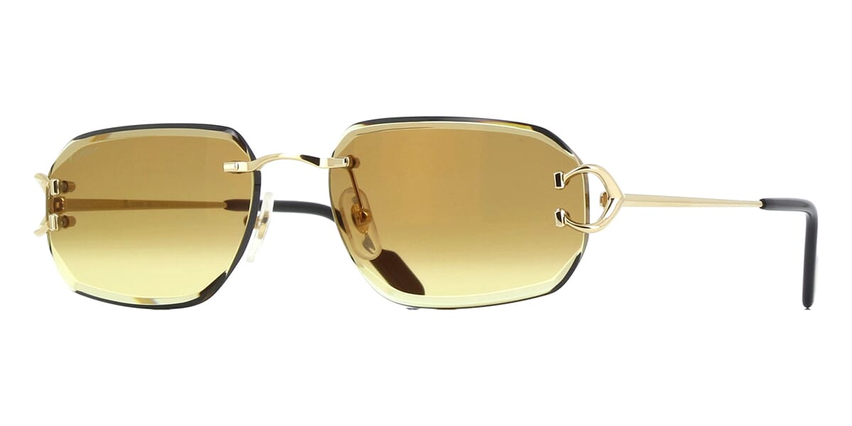 Cartier CT0468S 004