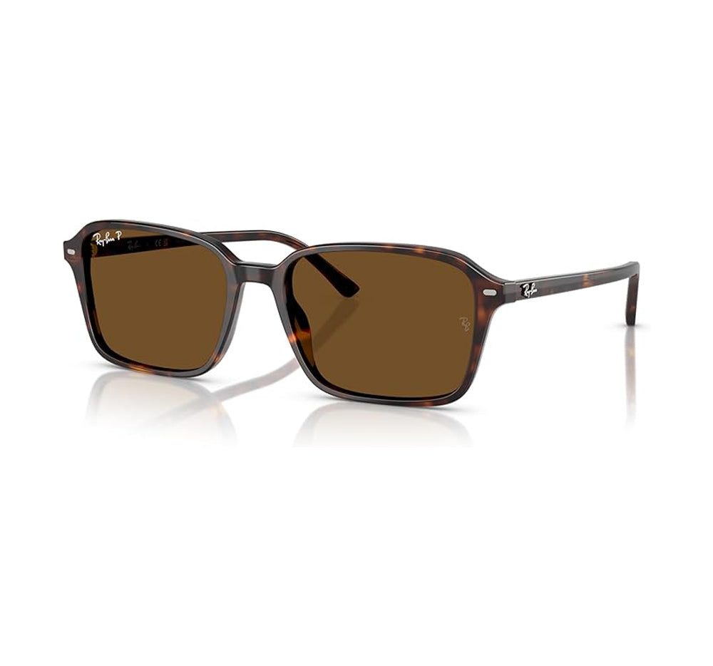 Ray Ban Raimond Polarized Sunglasses