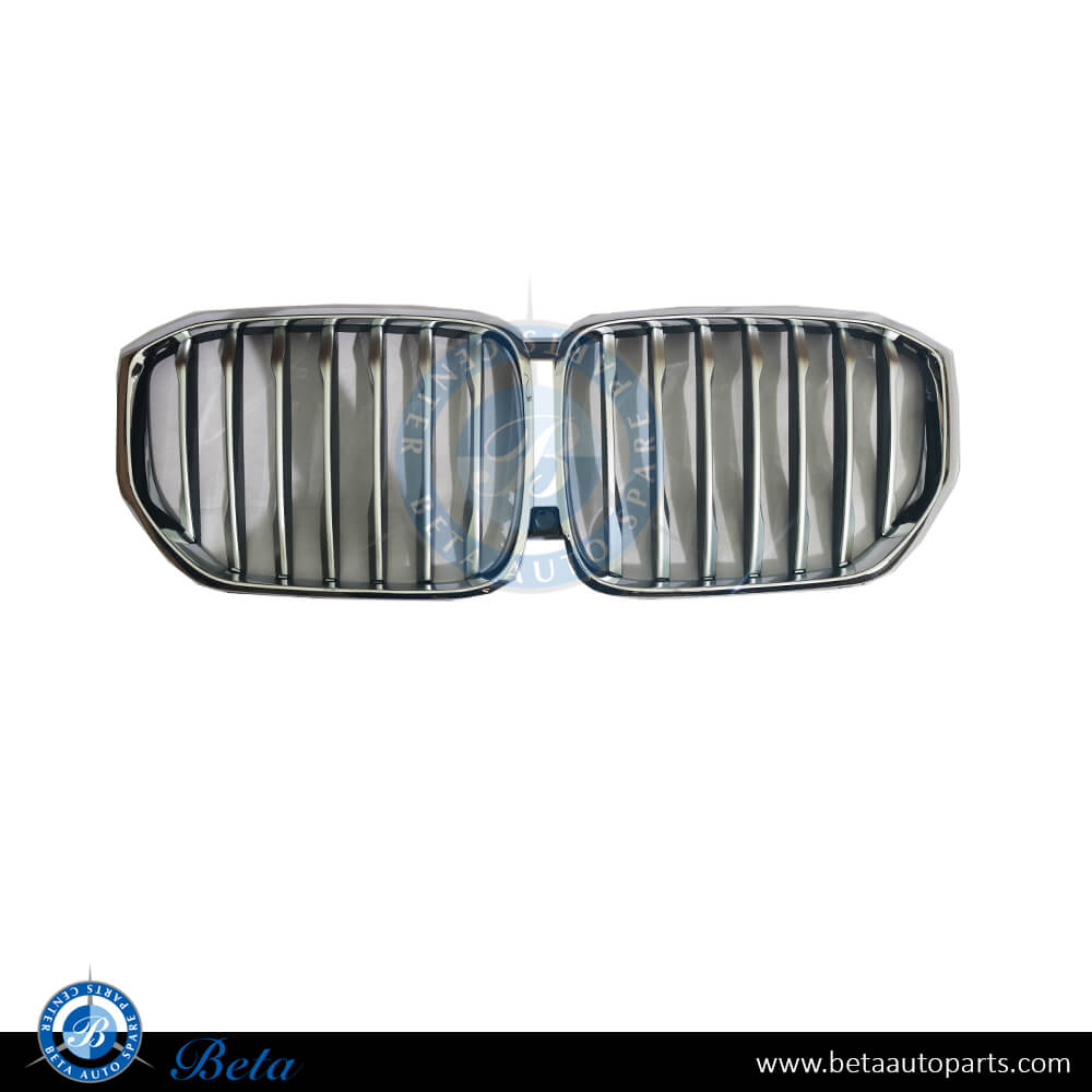 BETAAUTOPARTS BMW X5 G05 (2019 2023), Radiator Grille, China, 51137454887