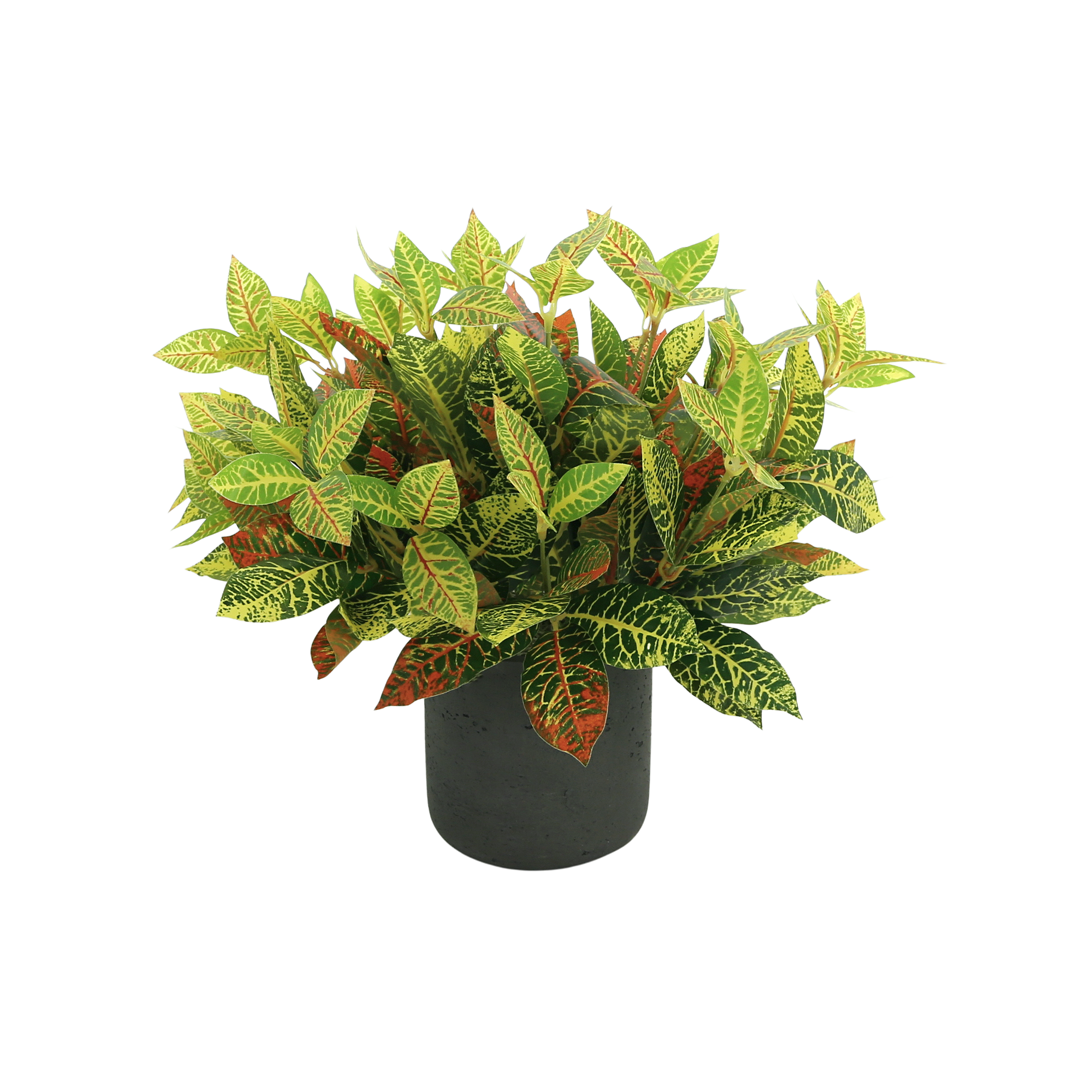 2146 Creative Displays Outdoor Croton Bush Arrangement in a Fiberstone Pot