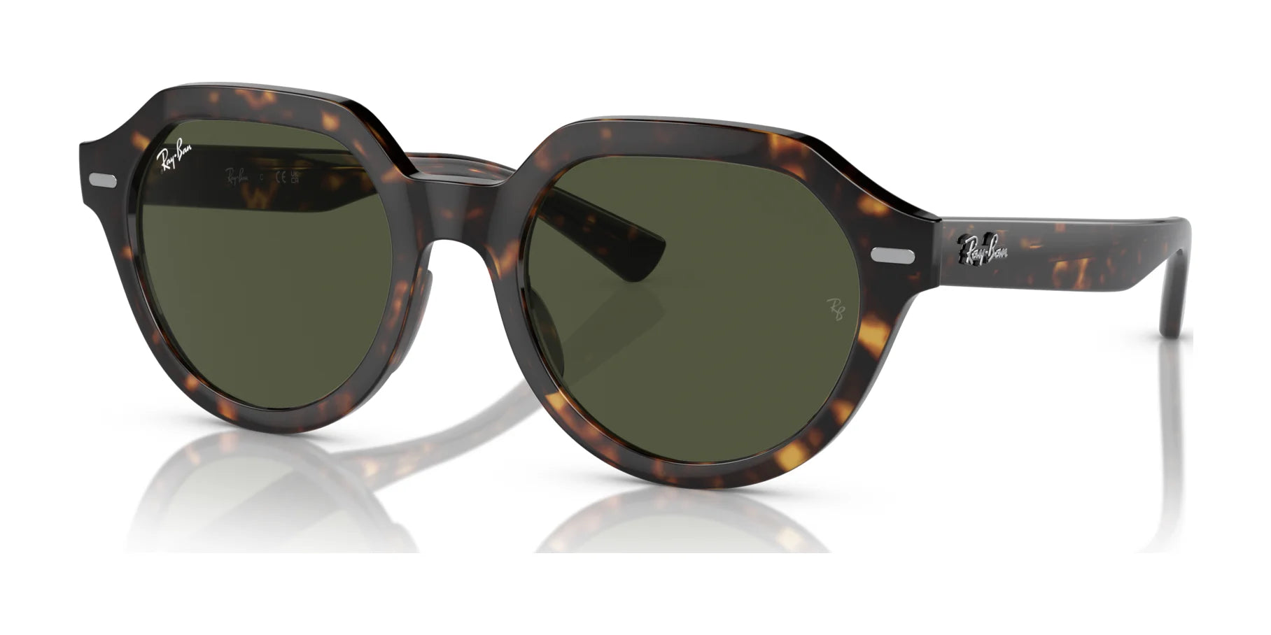 Ray Ban GINA RB4399 Sunglasses