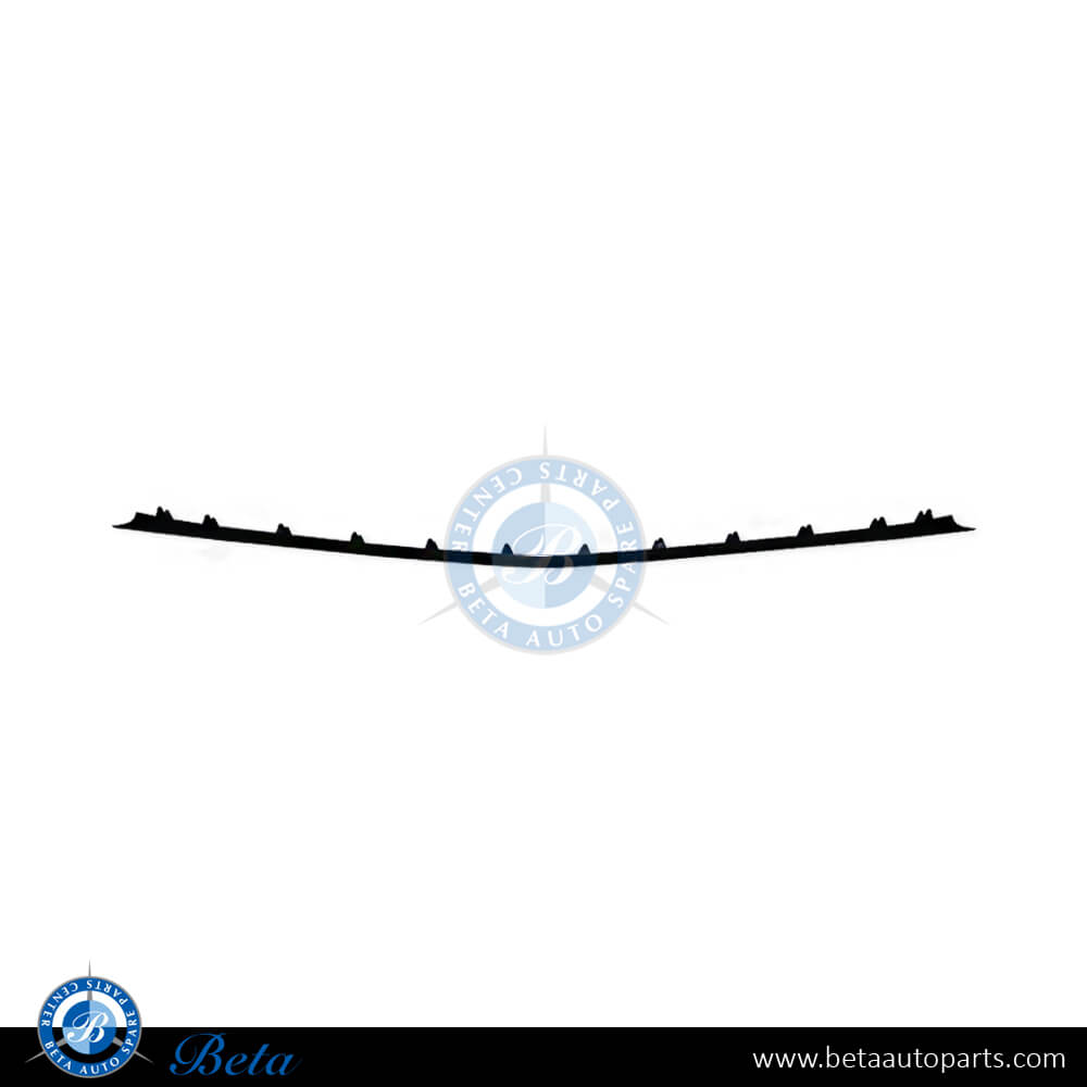 BETAAUTOPARTS Mercedes E Class W211 (2003 2005), Front Bumper Lower Moulding Avantgarde (Center), Taiwan, 2118850023