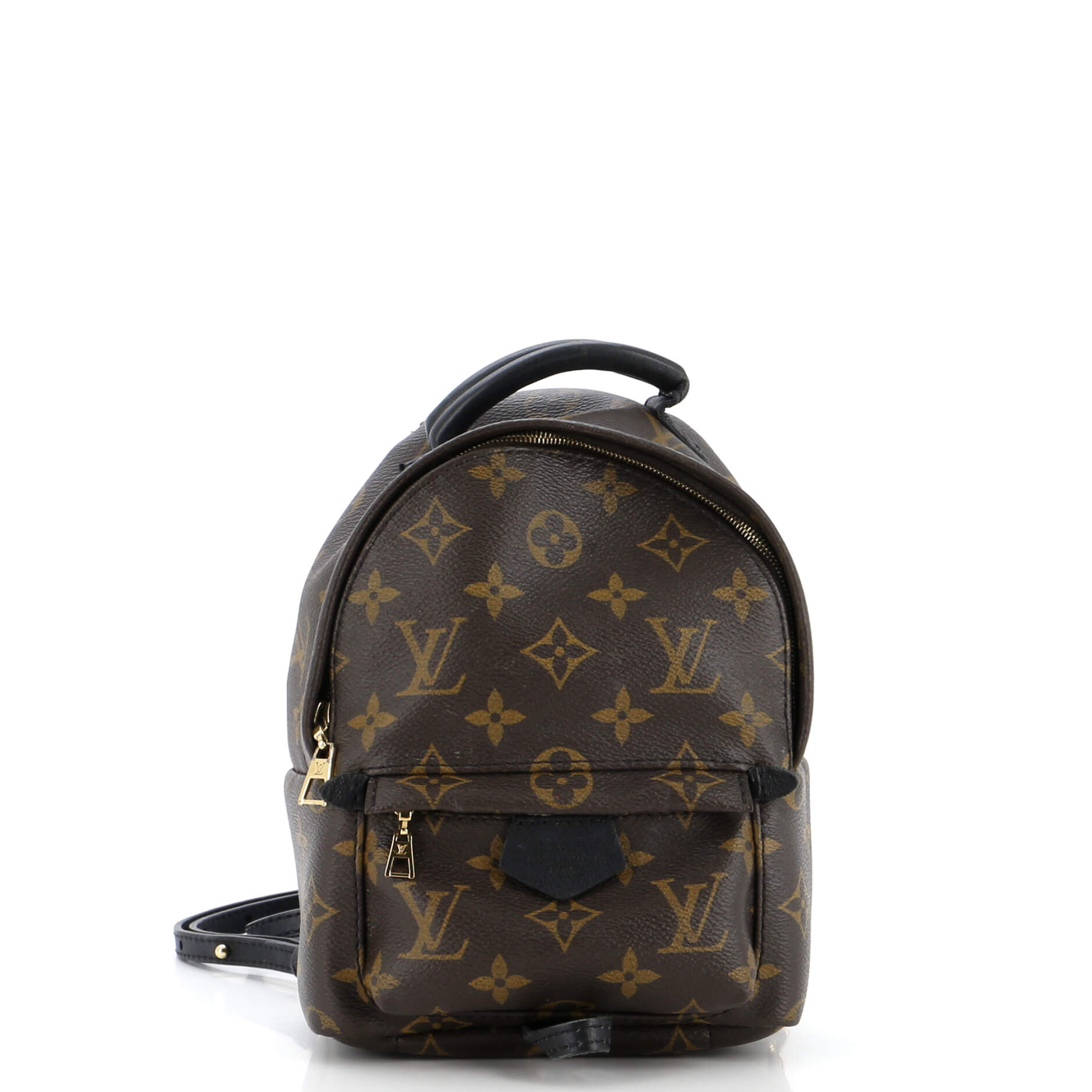 2860 Palm Springs Backpack Monogram Canvas Mini