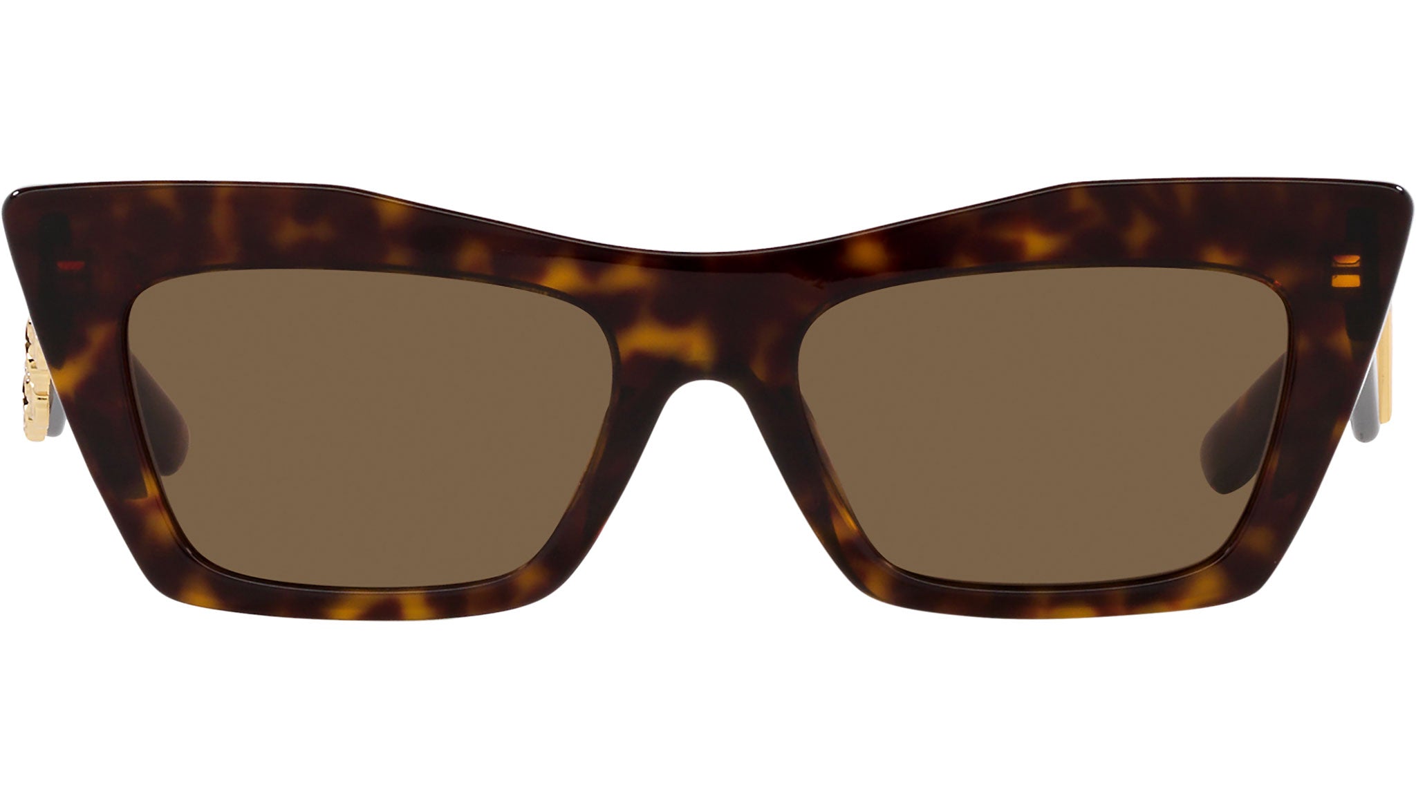 DOLCE & GABBANA DG 4435 502 73 Tortoise Brown