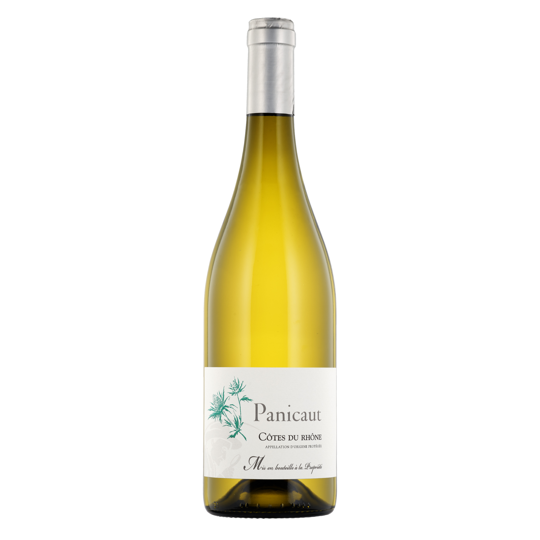 PERRINE'S WINE SHOP 2023 Panicaut Côtes du Rhône Blanc, Rhône Valley, France