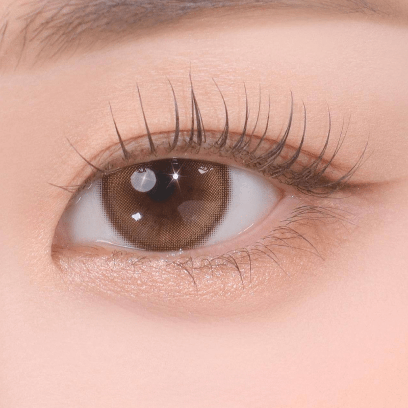 GEMHOUR LENS Demeter 1Day 13.5 Amber Brown