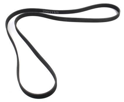 GENUINE VW/AUDI VW Accessory Drive Belt (7K 2569) (Alternator) 07D145933E
