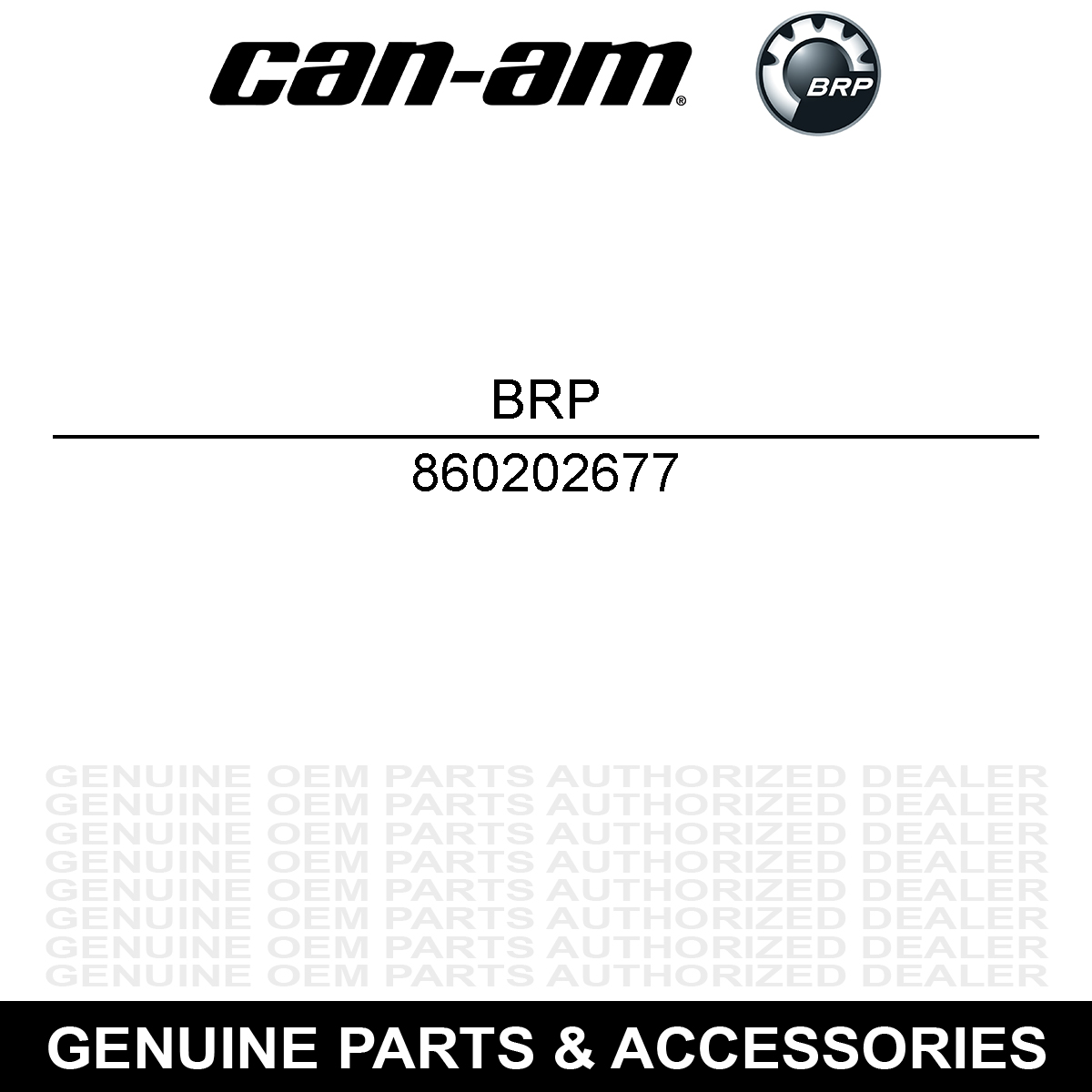 BRP 860202677 Ski Doo Square Carbide Runner