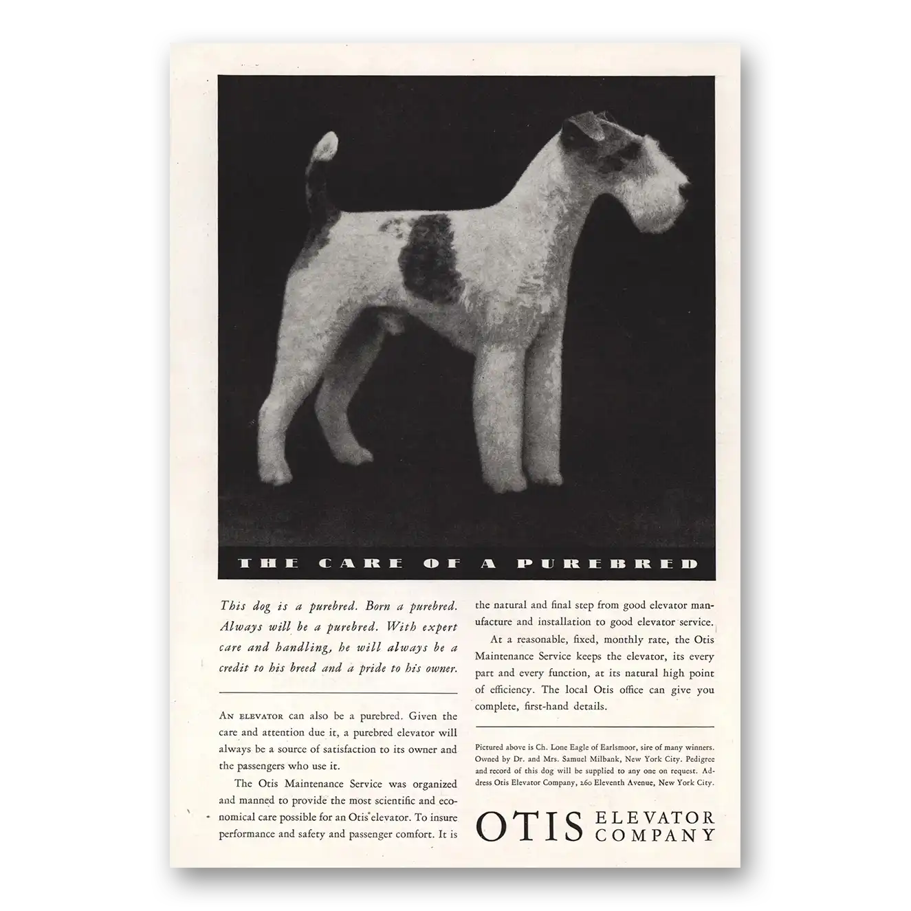 RELICPAPER 1934 Otis Elevator Print Ad   Care Purebred