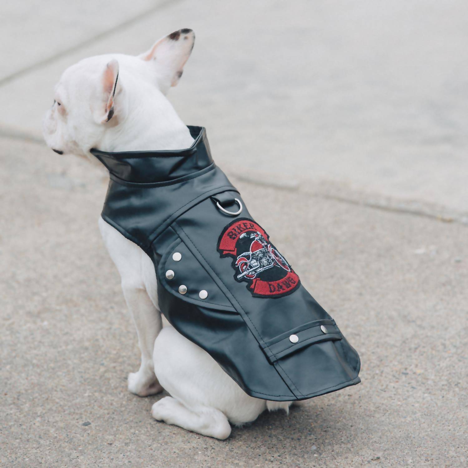 2244 Biker Dawg Motorcycle Jacket In Black
