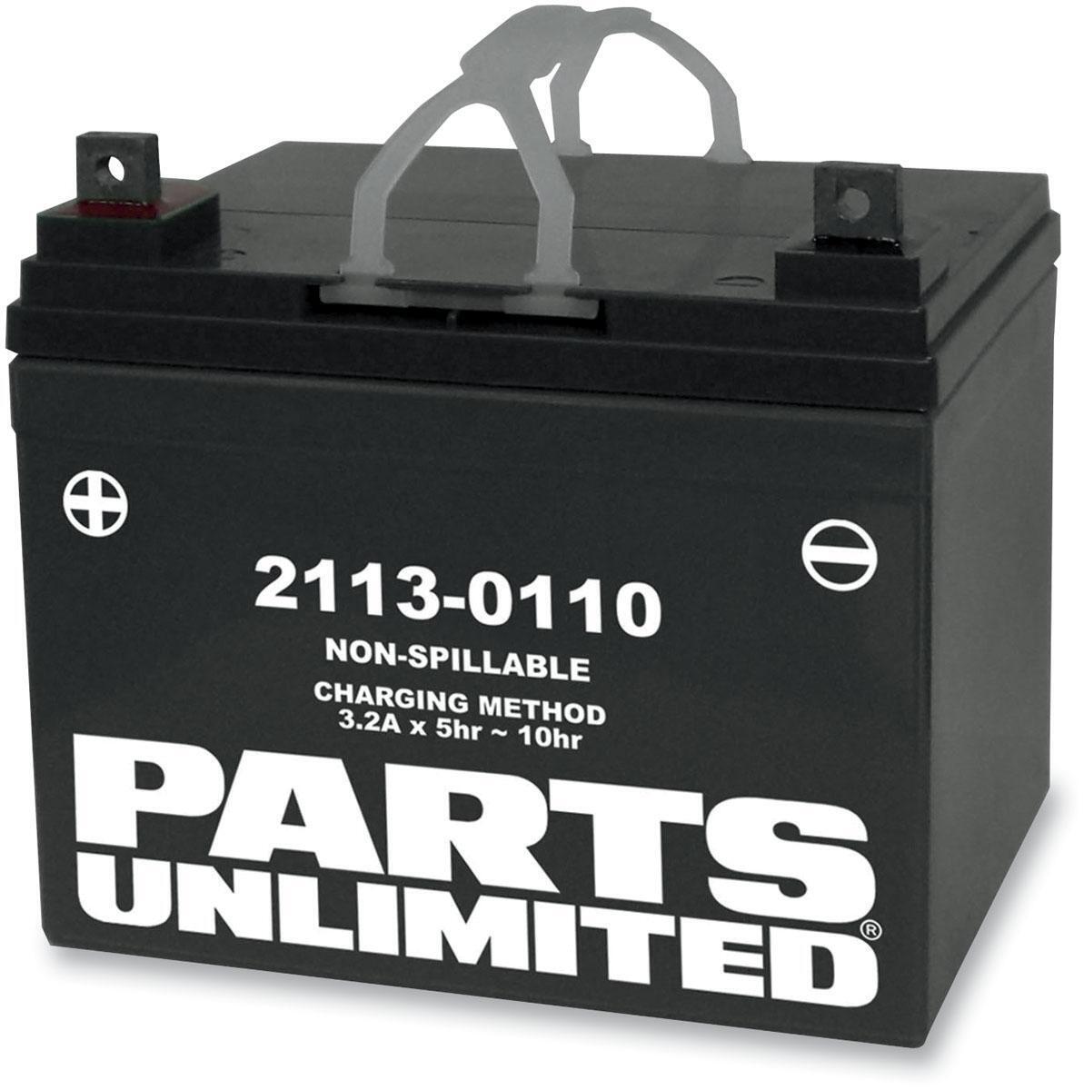 Parts Unlimited AGM Maintenance Free Battery RTX14 BS YTX14 BS