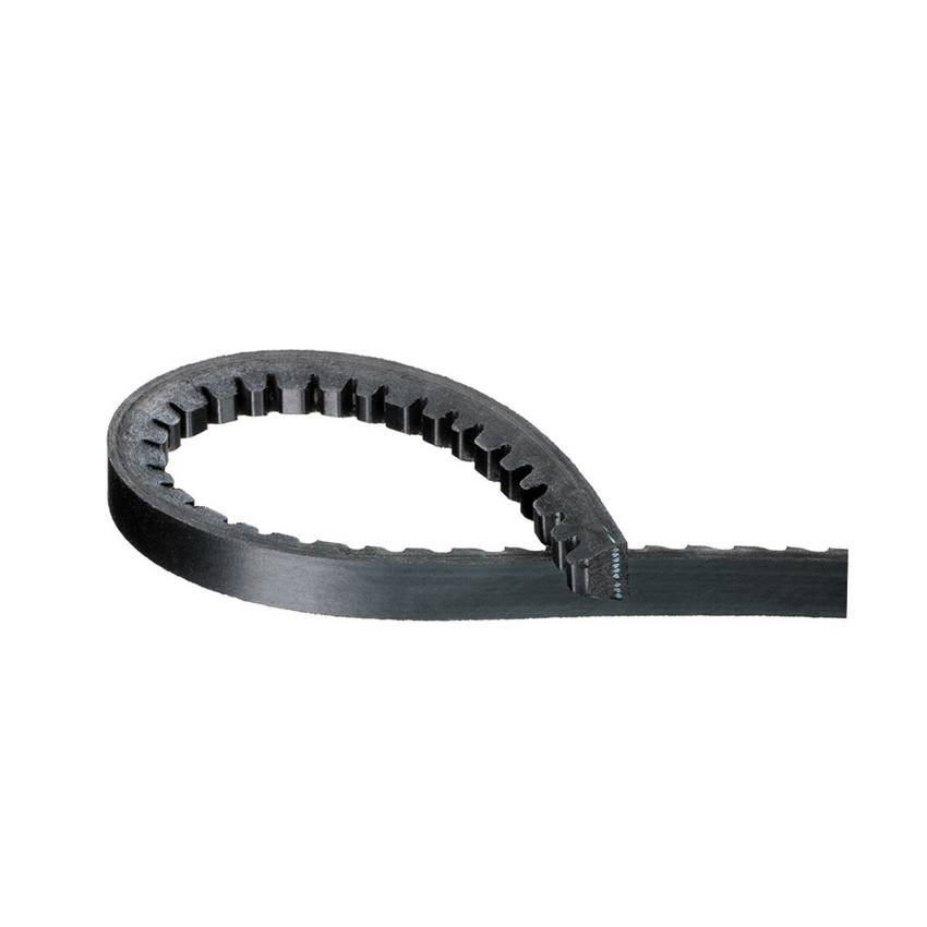GENUINE PORSCHE Porsche Accessory Drive Belt (10×785) 99919234550