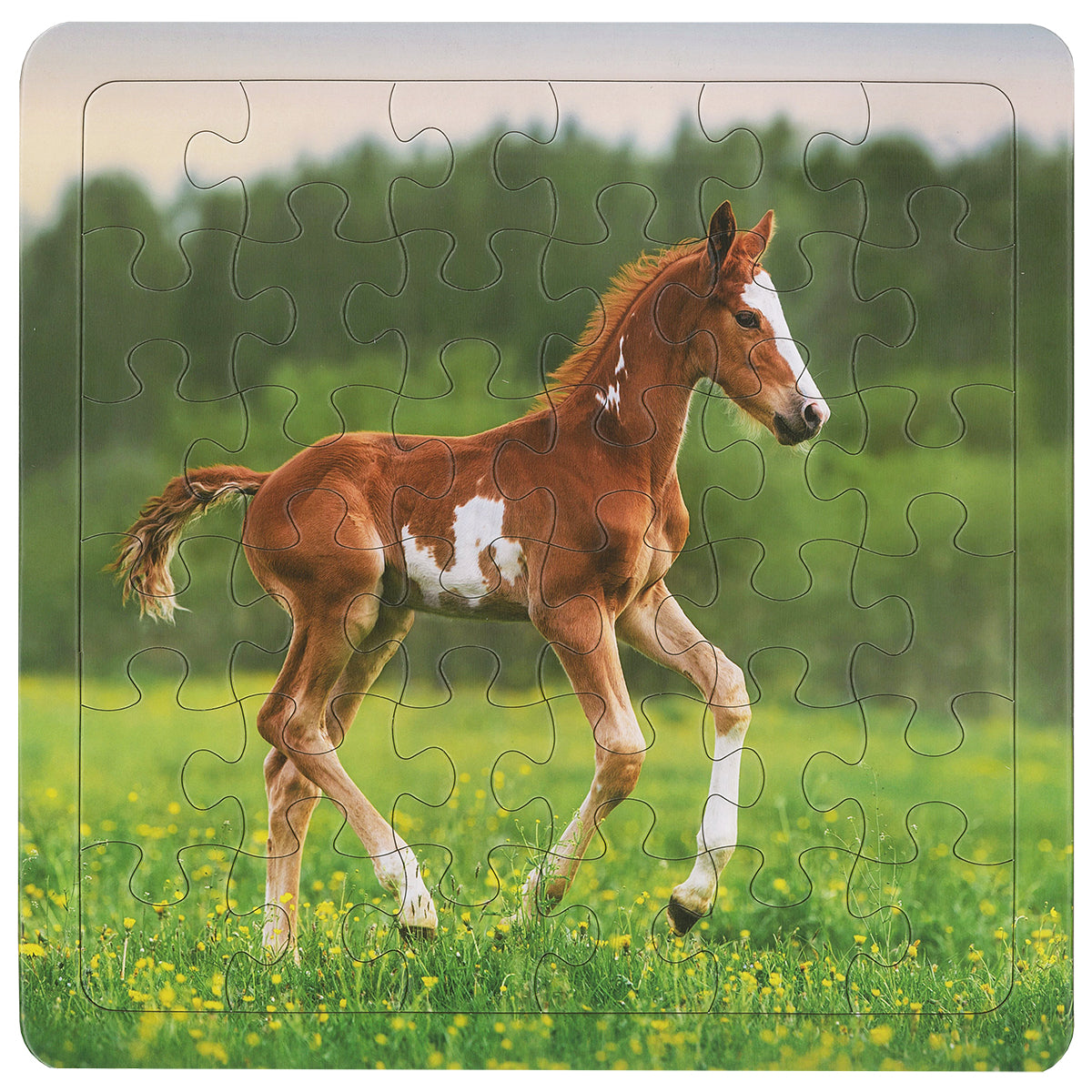 CREATIVE HOMES Frisky Foal 36 Piece Puzzle CH8424