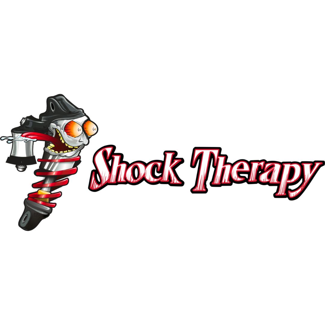 SHOCK THERAPY Ride Improvement System (RIS)