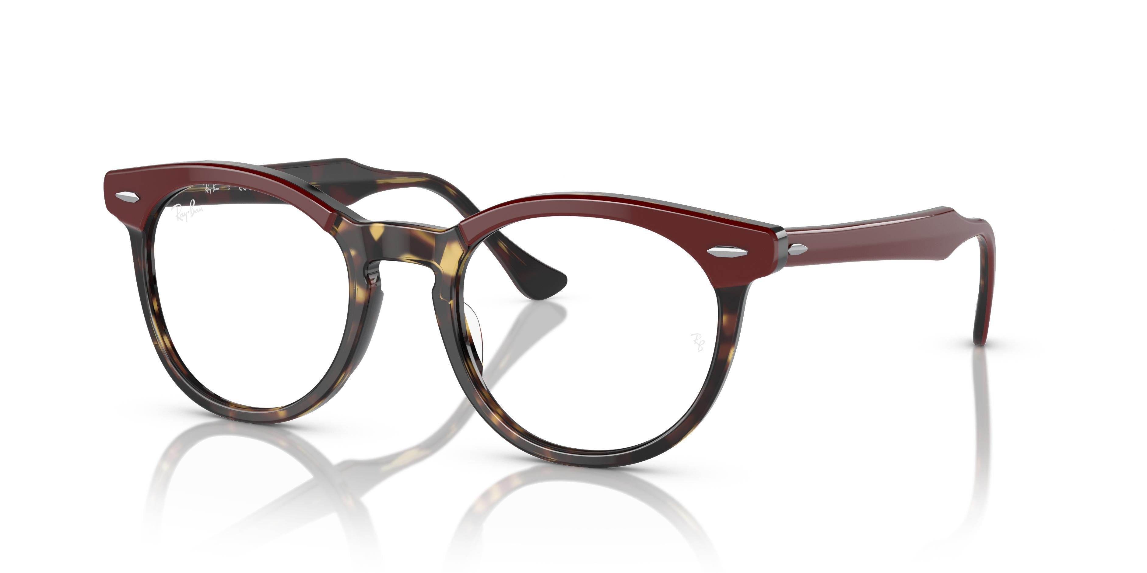 Ray Ban RX5598 EAGLEEYE 8250 49