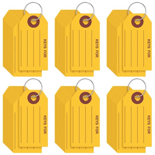 500 Pcs Key Tags with Rings 1.38 x 2.76 Inches Key Chain Tags Labels for Box ...