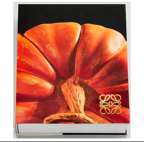 Loewe Book 10 Years Anniversary   JW Anderson   Crafted World