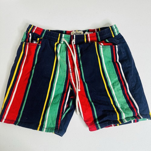 Fresh Prince Of Bel Air Shorts Mens Large Colorful Loud Striped Stretch Twill