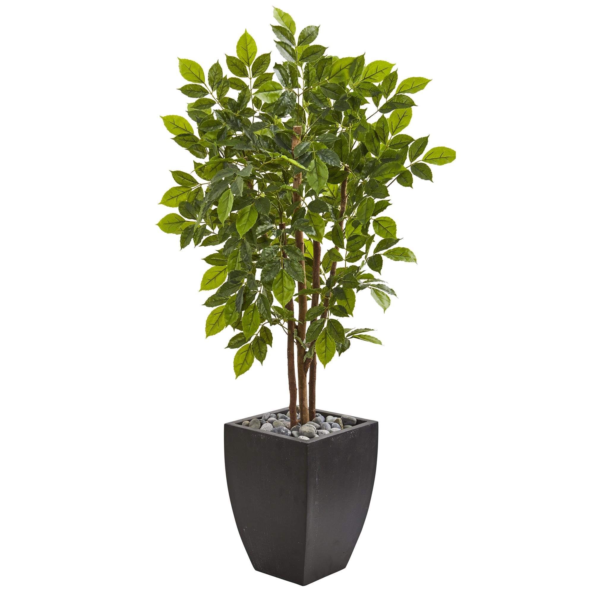 2736 57" River Birch Artificial Tree in Black Planter