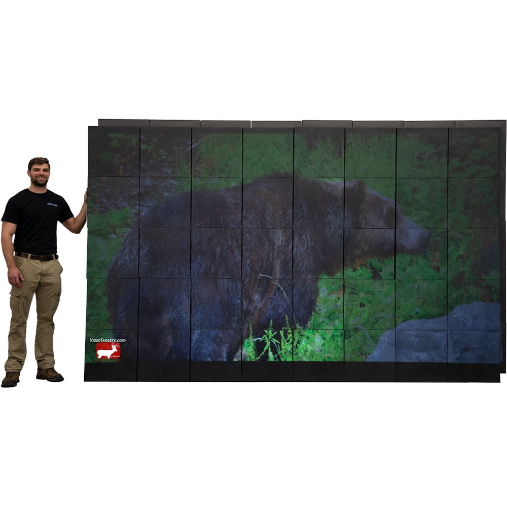 BIGSHOT ARCHERY MONSTER Video Wall