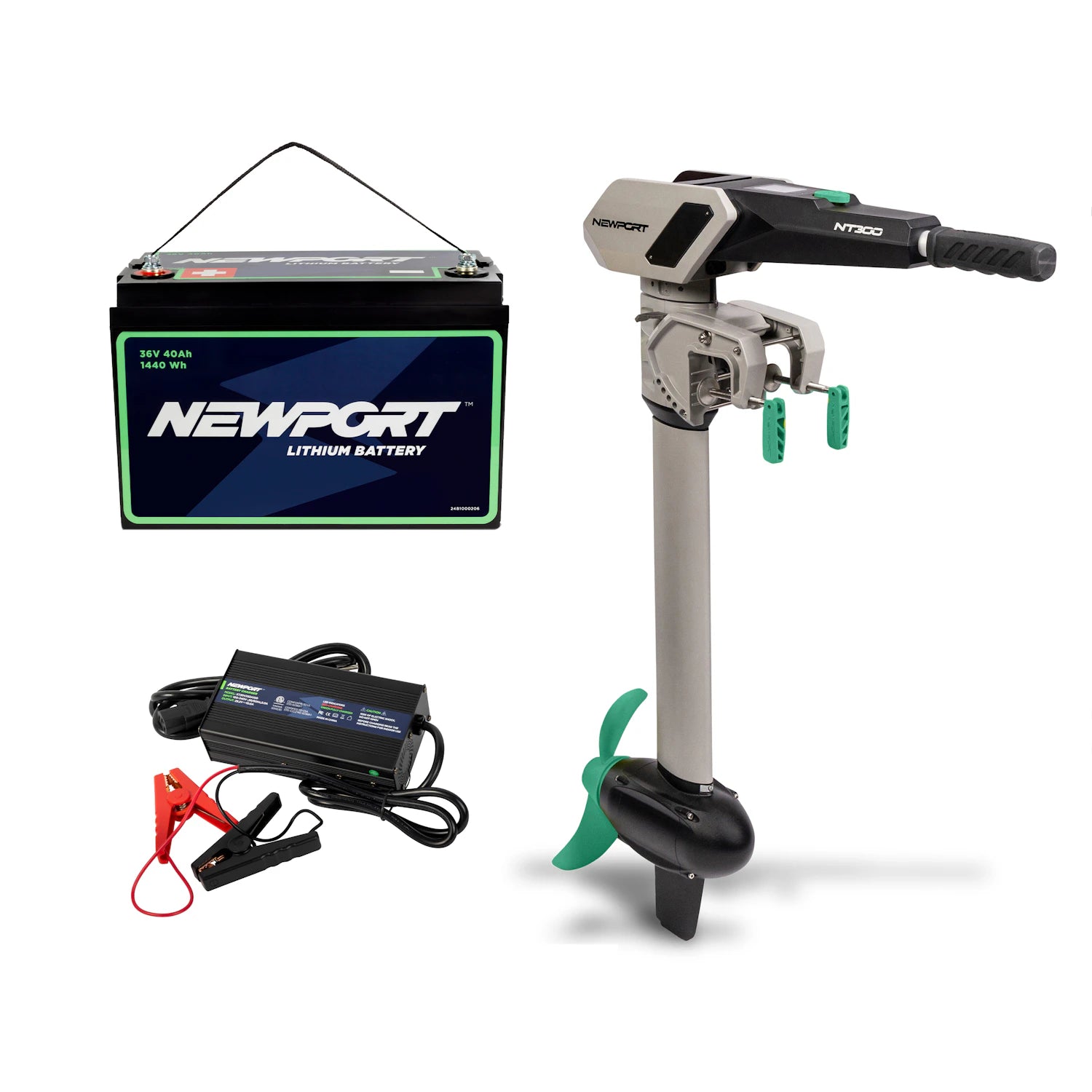 NEWPORT NT300 Extended Range Bundle