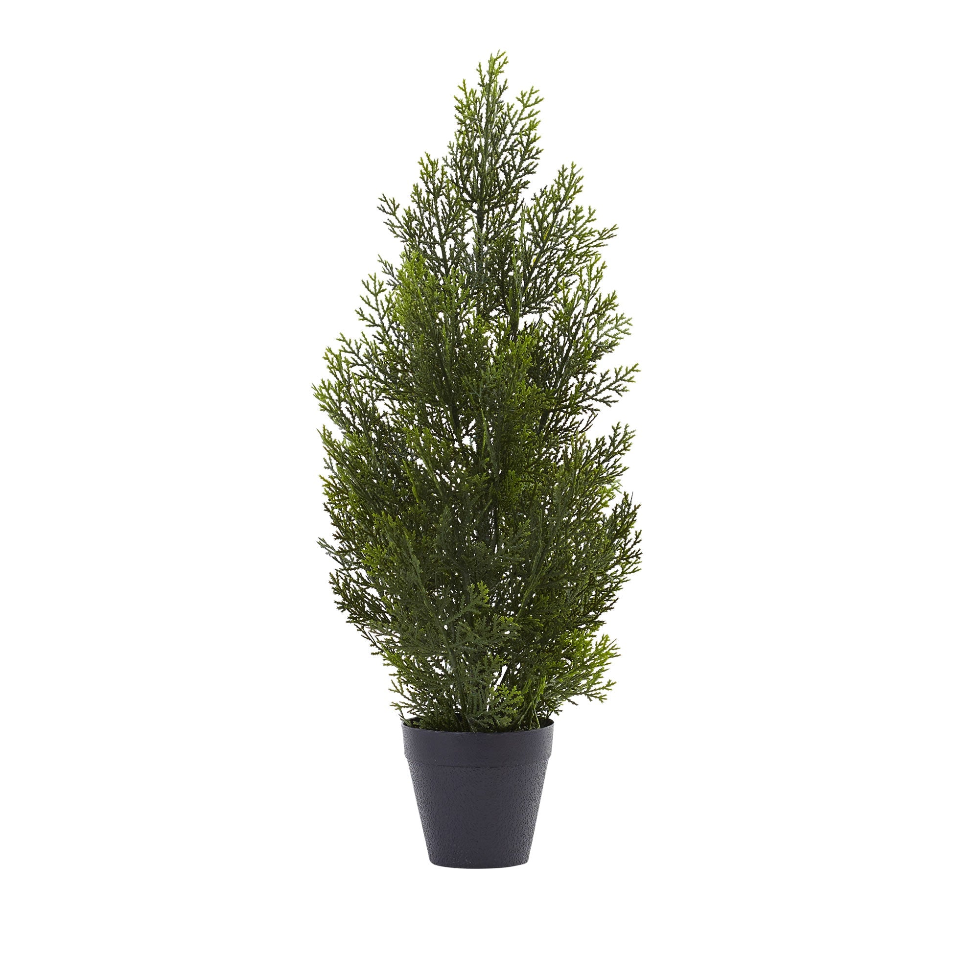 2736 2' Mini Cedar Pine Tree (Indoor Outdoor)
