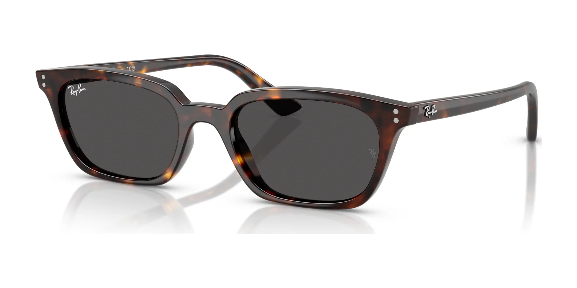 Ray Ban ZAYA RB4456 Sunglasses