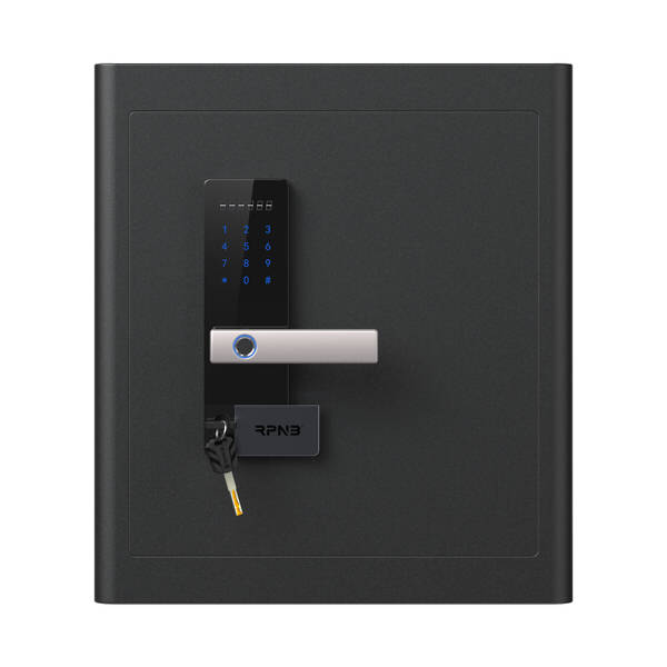 RPNB SAFES RPNB RPHS45 Luxury Biometric Home Safe