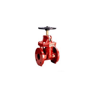 6 48 (Wilkins) 6 Inch NRS Resilient Wedge Gate Valve Flg X Flg