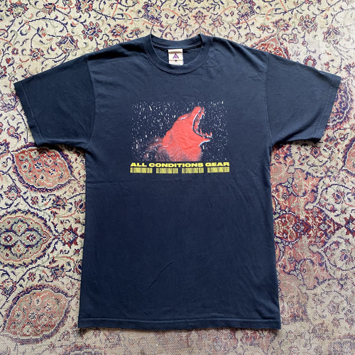 T shirt Nike ACG Wolf grafica taglia XS oversize