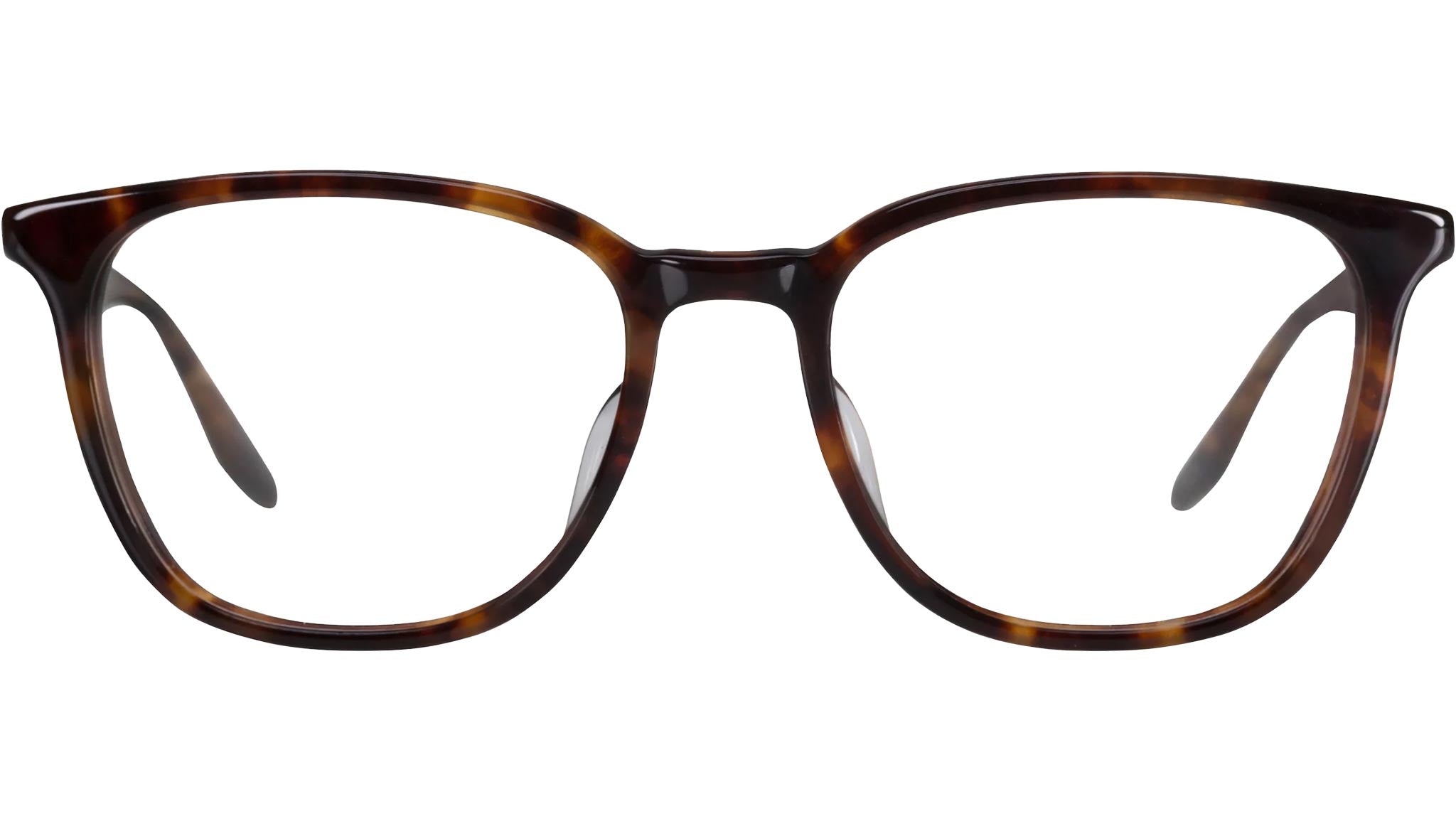 BARTON PERREIRA Steinam BP5287 0LY chestnut