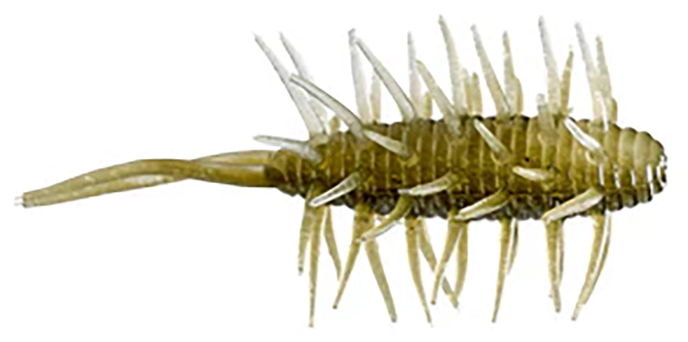 HIDEUP Coike Shrimp   2.5 Inch