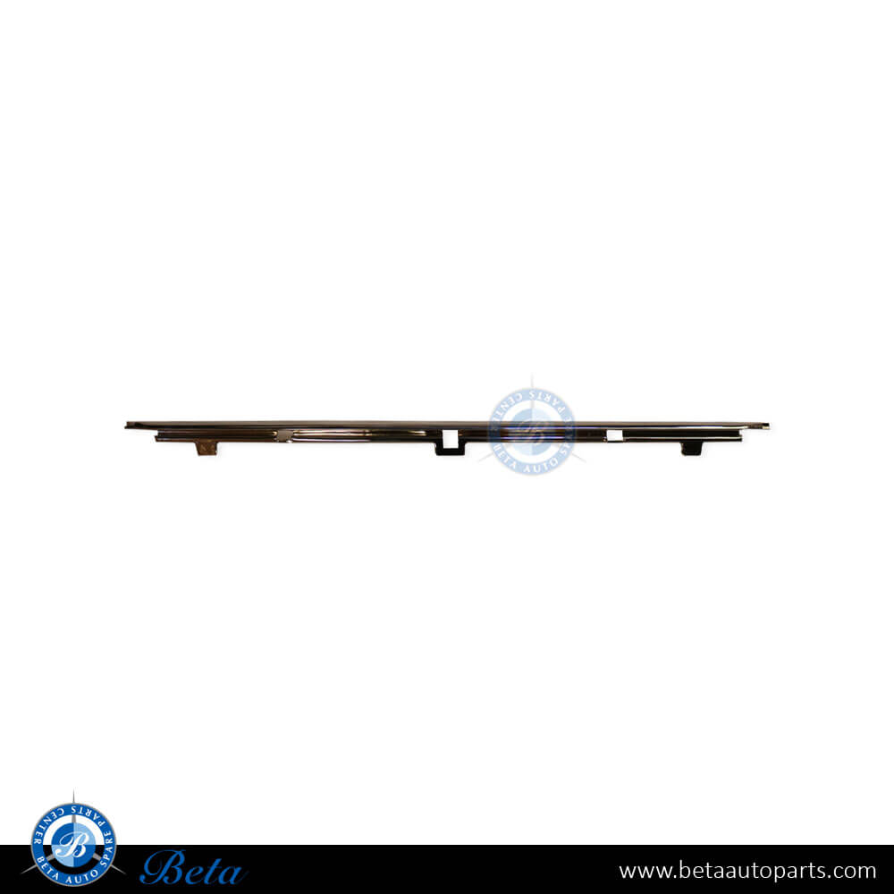 BETAAUTOPARTS BMW 5 Series E39 (1996 2002), Front License Plate Holder Moulding (Chrome), Taiwan, 51118226557