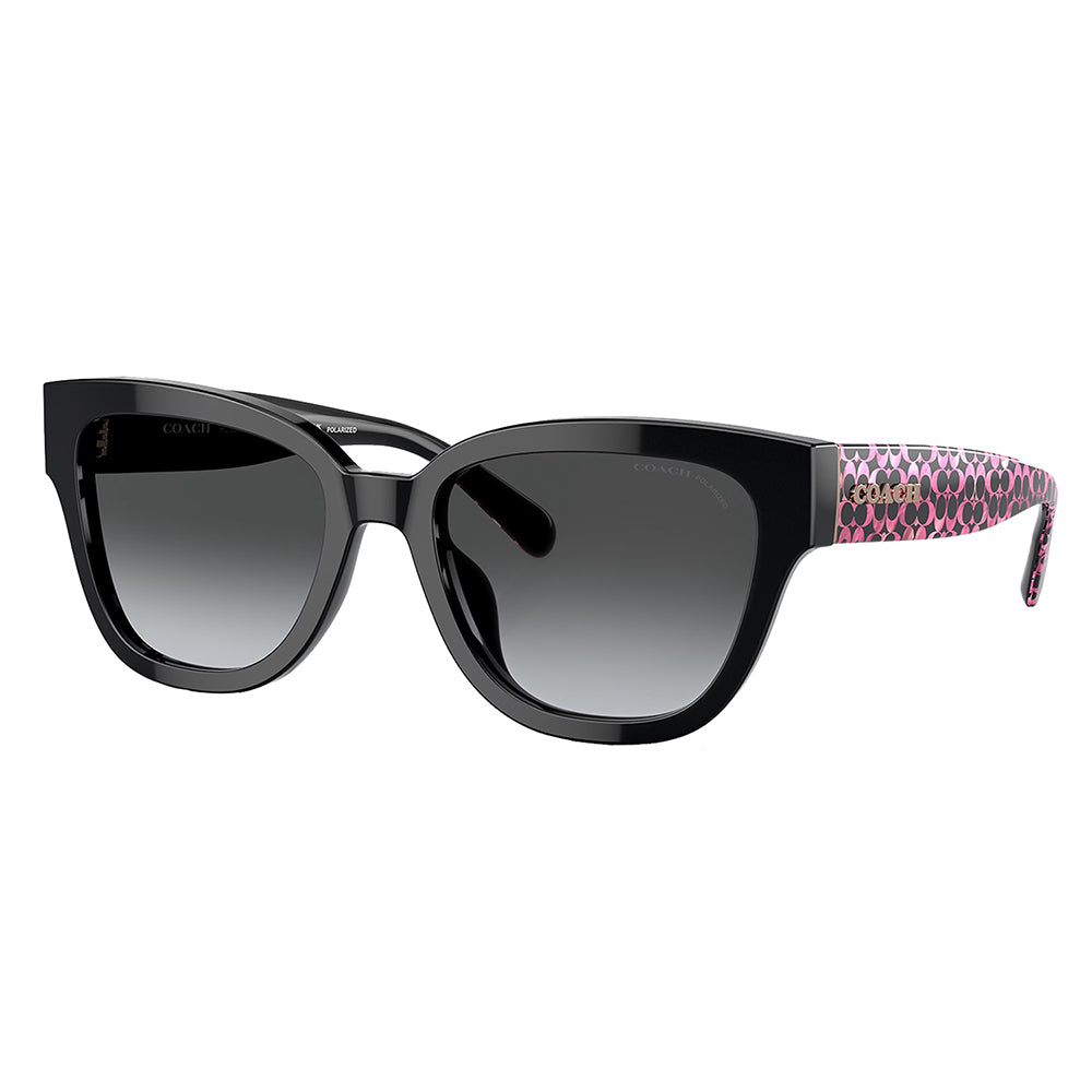2103 Coach  HC 8379U 5002T3 54mm Womens Butterfly Sunglasses