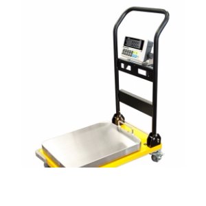 CAS CWP 150 Portable Digital Utility Scale
