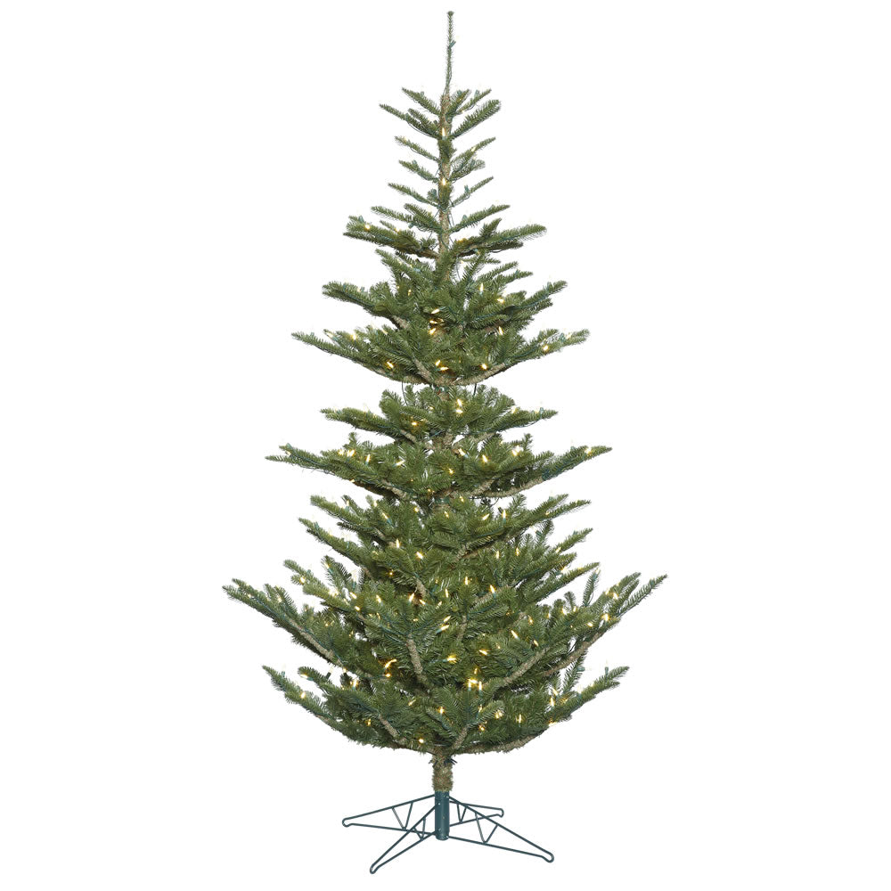 7.5' Alberta Spruce, Warm White, G160276LED, Vickerman